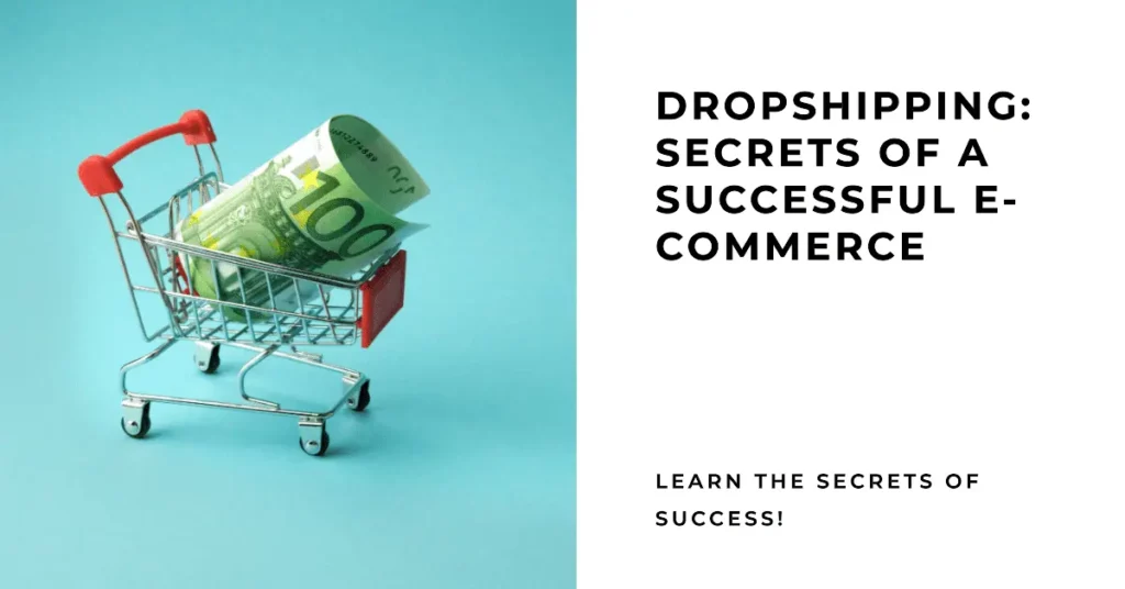 Dropshipping secrets of a successful e-commerce